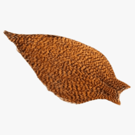 American Rooster Cape - Grizzly Shrimp Orange