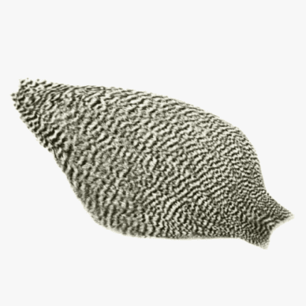 American Rooster Cape – Grizzly Black