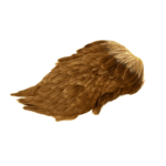 fishingcape-Indian-Hen-Saddle-High-Quality-Feathers-for-Fly-Tying