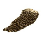 fishingcape-Indian-Hen-Saddle-High-Quality-Feathers-for-Fly-Tying