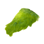 fishingcape-Indian-Hen-Saddle-High-Quality-Feathers-for-Fly-Tying