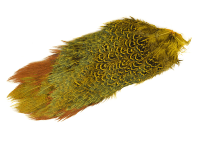 Fishingcape-pheasant-rump-patch-fly-tying-feathers