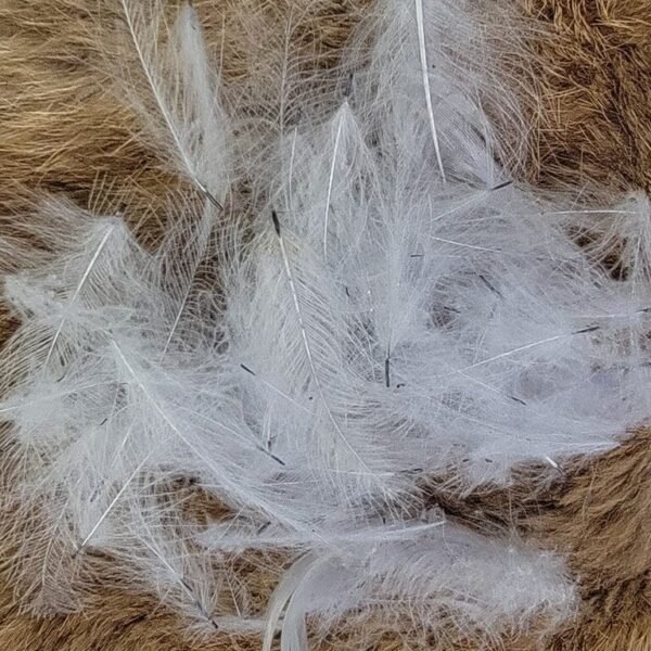 Fly Tying 5g White CDC Feathers