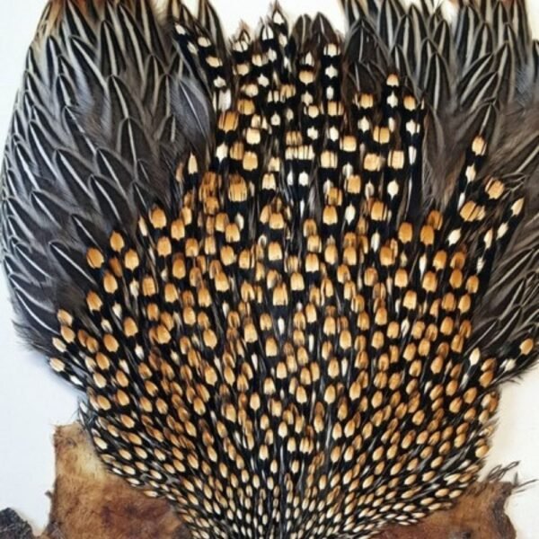 Grade AAA Natural Gold Jungle Cock Cape