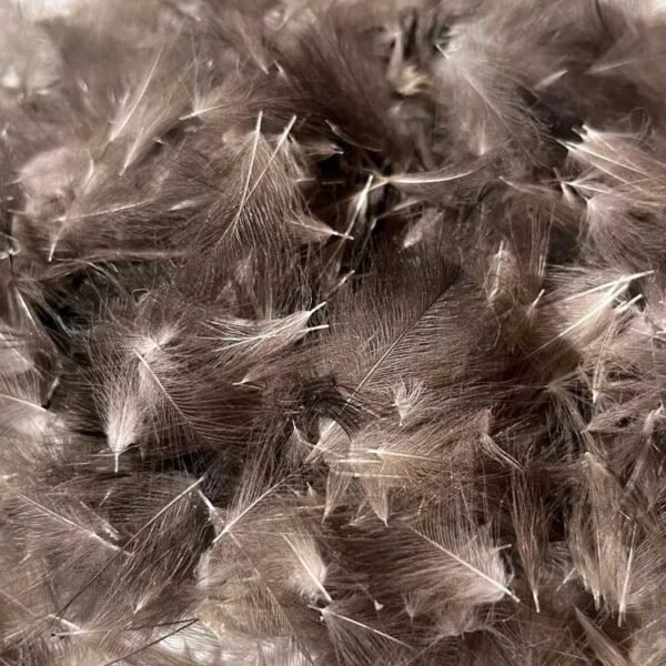 Fly Tying 5g Natural Dark Grey CDC Feathers